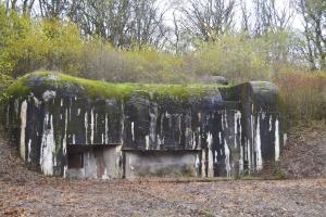 Ligne Maginot - KOBENBUSCH  - A13 - (Ouvrage d'artillerie) - Entrée des hommes
Après débroussaillage en 2019.
L'entrée et les meurtrières ont été murées par sécurité, le pied du bloc étant inondé et inaccessible