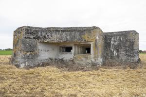 Ligne Maginot - A49 - GLYCINE - (Blockhaus lourd type STG / STG-FCR - Double) - 