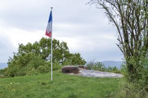 Ligne Maginot - GALGENBERG - A15 - (Ouvrage d'artillerie) - Bloc 5
On distingue le massif du Metrich, tandis que la végétation cache la chapelle du Hackenberg à l'horizon.