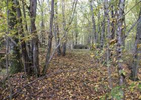 Ligne Maginot - BOIS KARRE - X12 (Abri) - 