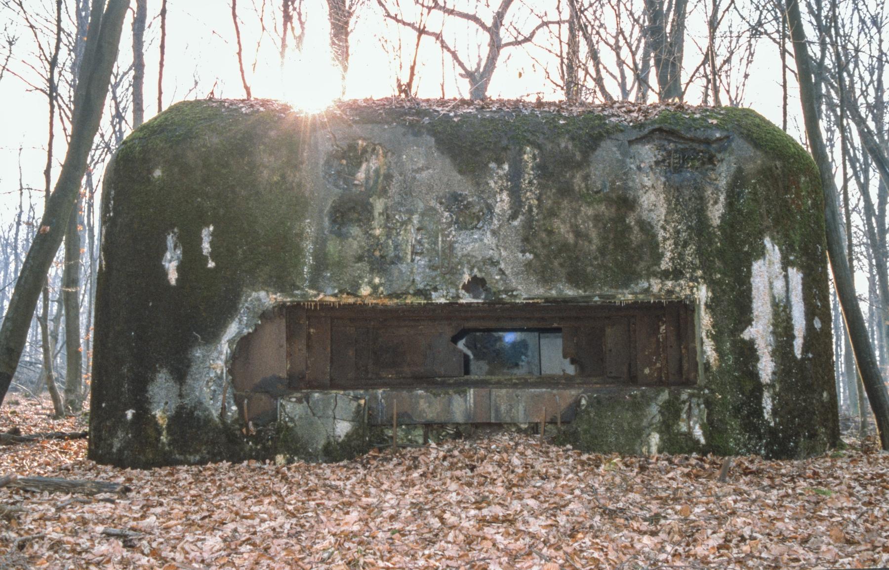 Ligne Maginot - C10B - KALMERICH 5 - (Blockhaus pour canon) -  - MANSUY Michel