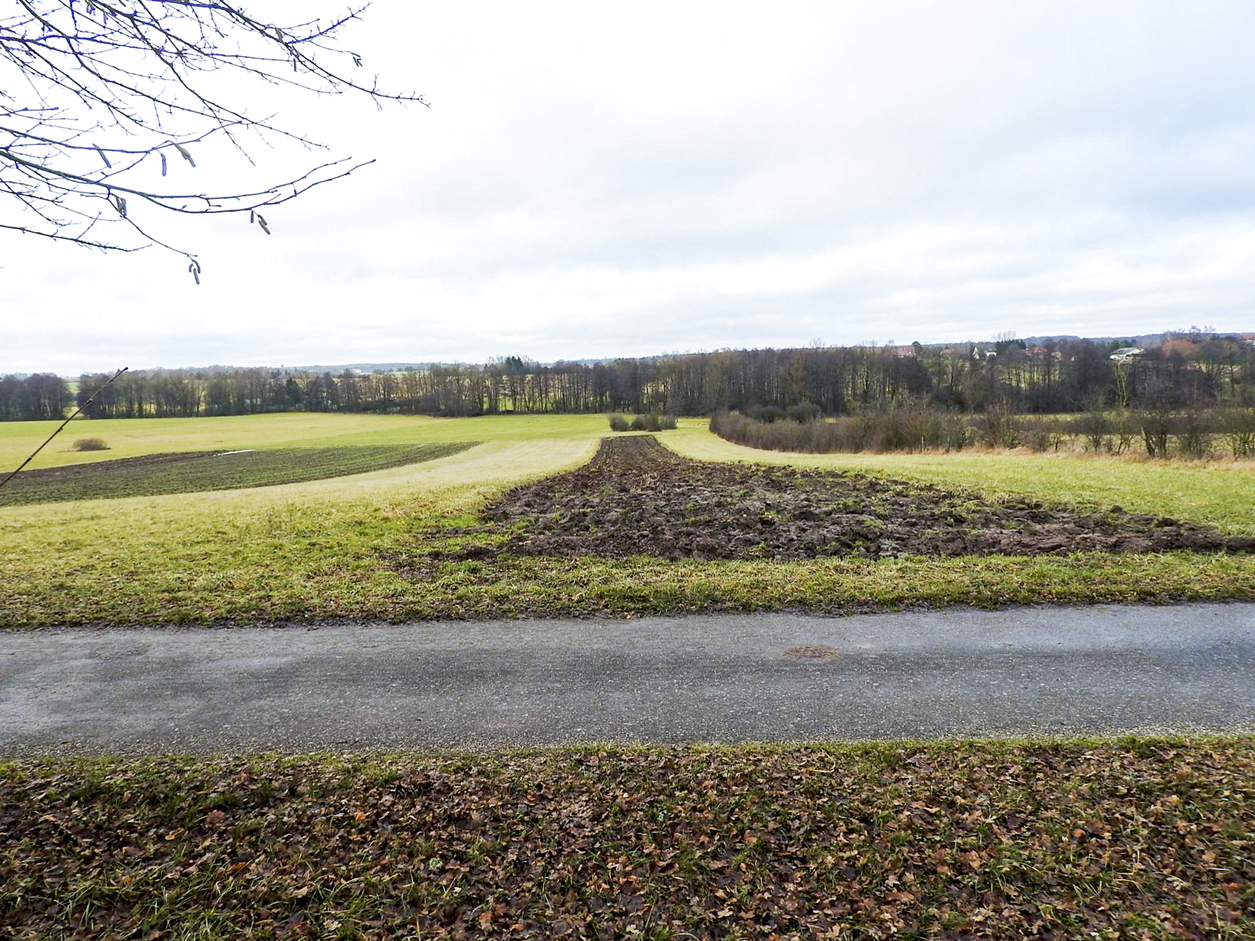 Ligne Maginot - HINTER FOLIG - (Observatoire d'infanterie) - La vue depuis l'observatoire. - STENGER Mathieu