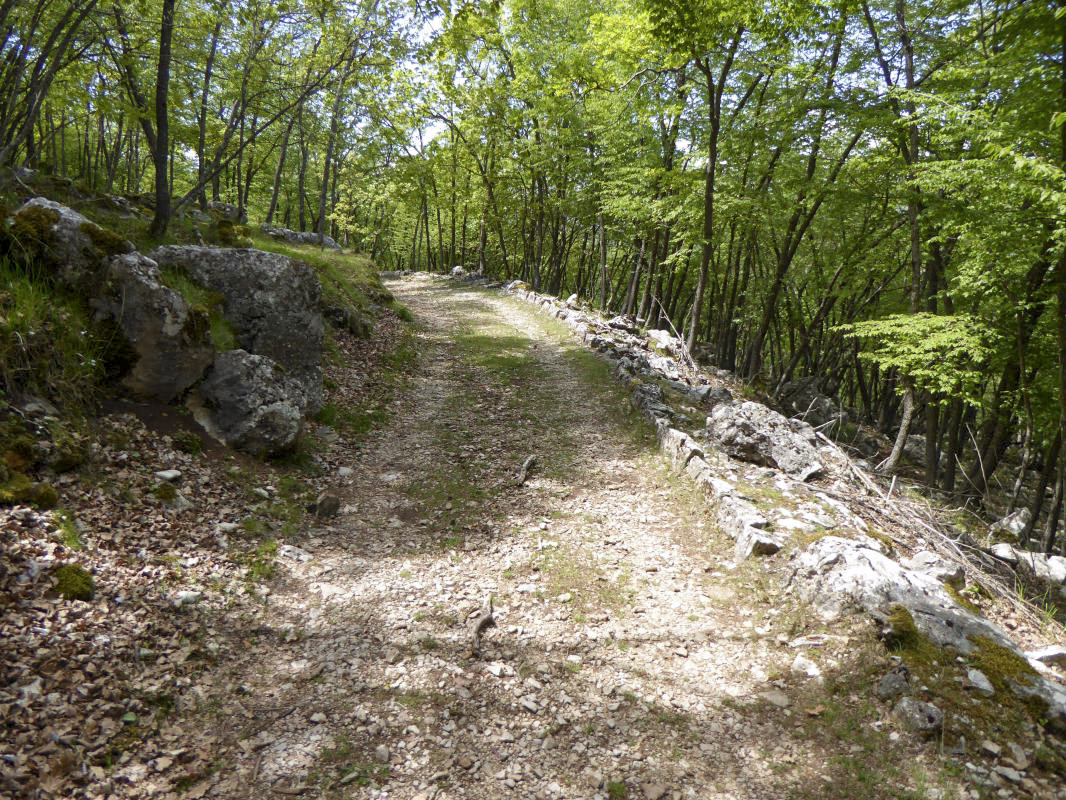 Ligne Maginot - BAISSE DU LOUP - (Abri) - La route militaire - ELLENA-CUNY