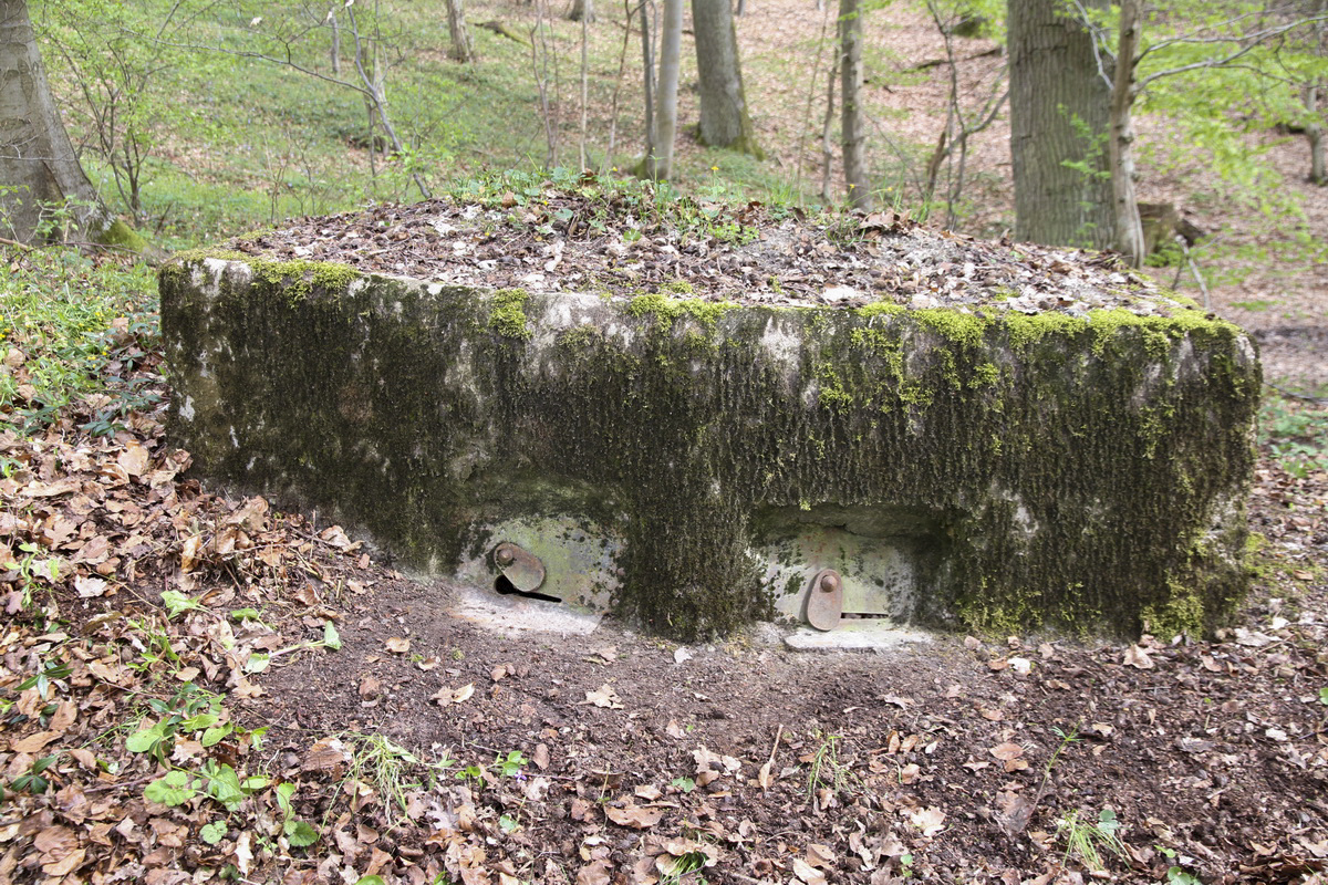 Ligne Maginot - KALMERICH 1 - (Observatoire d'infanterie) -  - Alain Perouffe