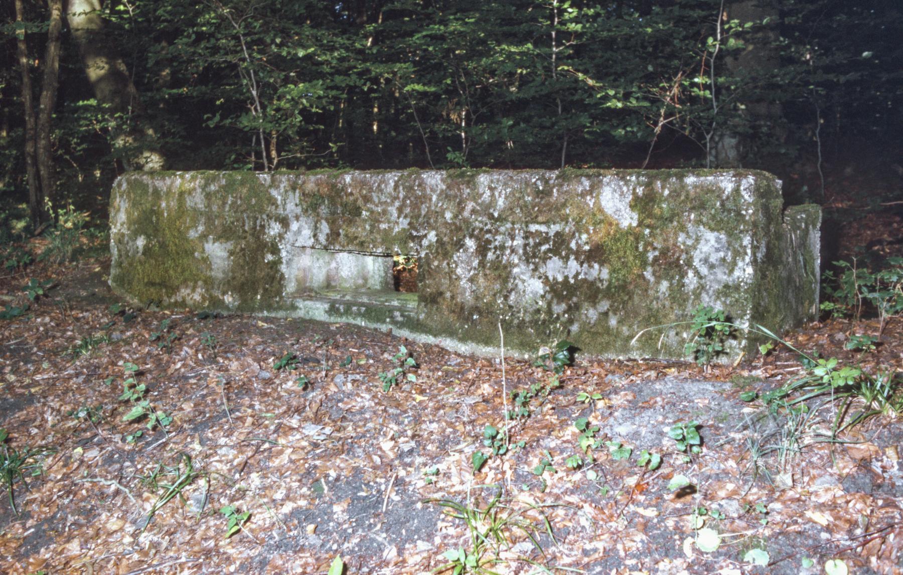 Ligne Maginot - KALMERICH 2 - (Blockhaus pour arme infanterie) -  - MANSUY Michel