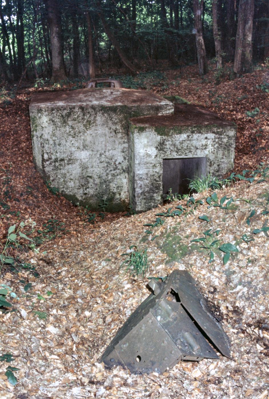 Ligne Maginot - LANGSTWALD 4 - (Blockhaus pour arme infanterie) -  - MANSUY Michel
