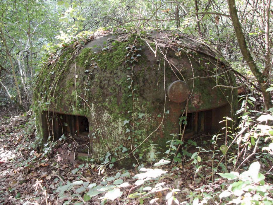 Ligne Maginot - BILLIG - A18 - (Ouvrage d'artillerie) - Bloc 1
Cloche GFM - Schnoupf