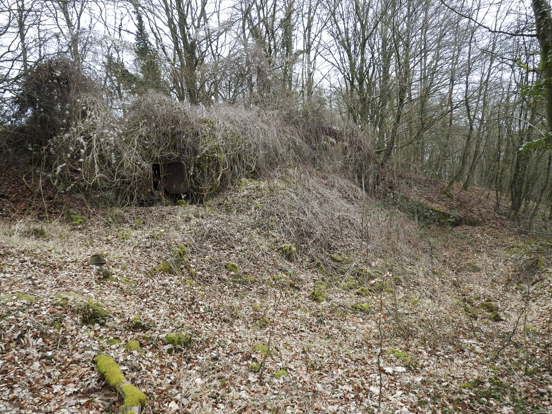 Ligne Maginot - BILLIG - A18 - (Ouvrage d'artillerie) - Bloc 3
Le bloc remblayé  - STENGER Mathieu