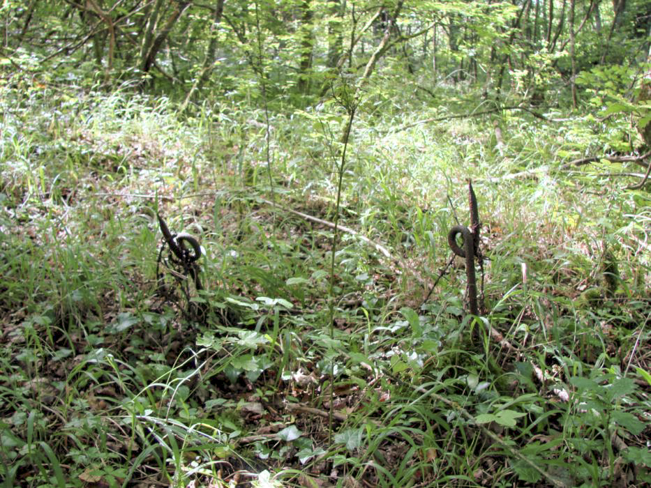 Ligne Maginot - BILLIG - A18 - (Ouvrage d'artillerie) - Essentiellement aux Bloc 4 et 6, à l'approche de ces derniers, les lieux sont parsemés de défense de type 'queue de cochon'. - Schnoupf