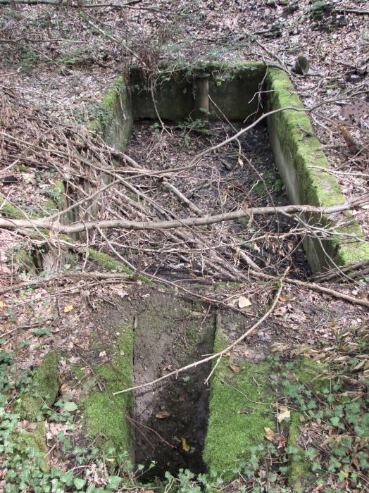 Ligne Maginot - BILLIG - A18 - (Ouvrage d'artillerie) - En aval du bloc 6. - Schnoupf
