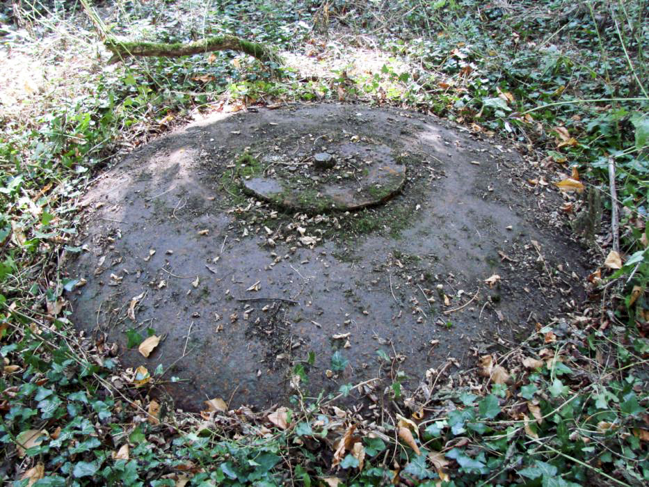 Ligne Maginot - BILLIG - A18 - (Ouvrage d'artillerie) - Bloc 7
La cloche VP.
On la distingue à peine sous la végétation qui reprend ses droits. - Schnoupf