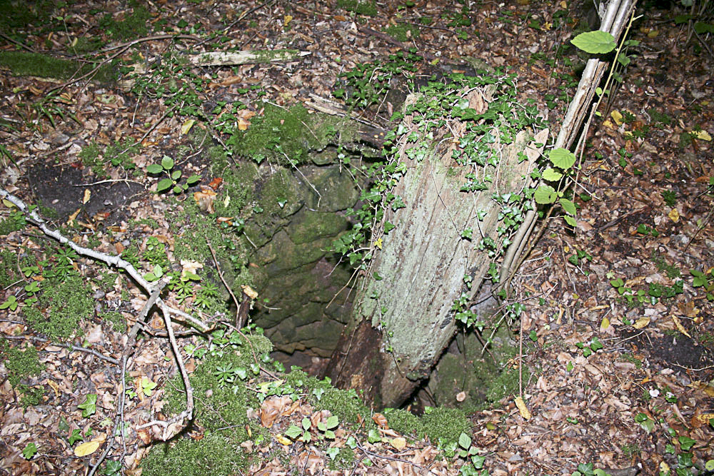 Ligne Maginot - BILLIG - A18 - (Ouvrage d'artillerie) - Bloc 6
Puits emmuré à proximité du bloc aves les restes d'un tronc d'arbre (identique, en plus petit de ceux, qu'on trouve à proximité de l'EM de Molvange) - Michel Teiten
