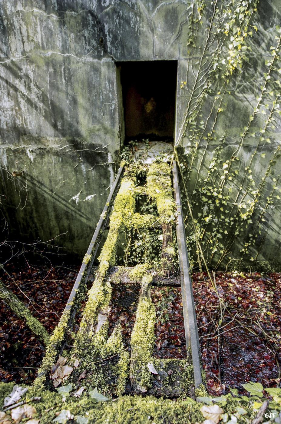Ligne Maginot - BILLIG - A18 - (Ouvrage d'artillerie) - Bloc 5
Issue totalement merlonnée de nos jours - Lia VERMEULEN