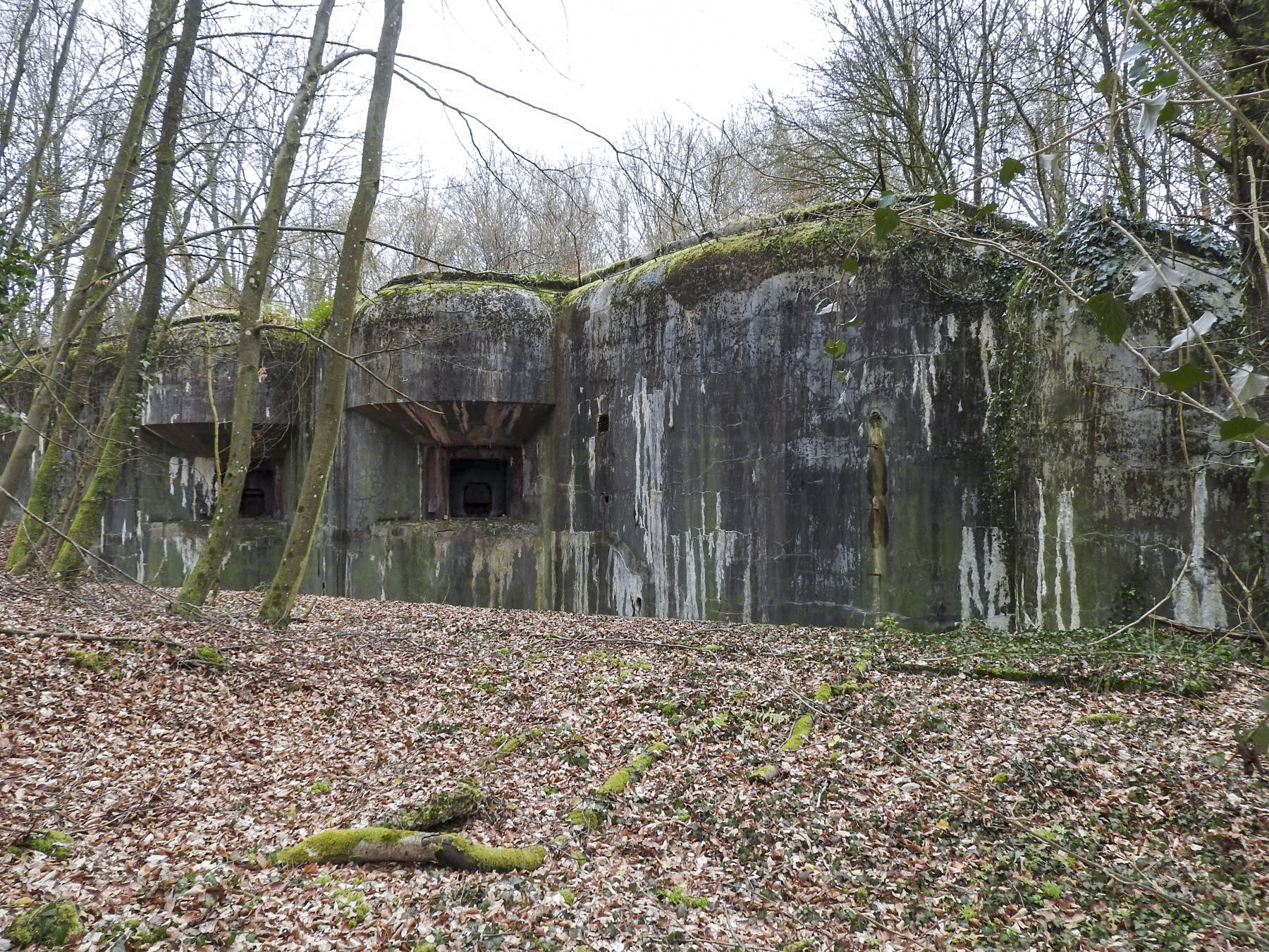 Ligne Maginot - BILLIG - A18 - (Ouvrage d'artillerie) - Bloc 5
La façade de tir du bloc - STENGER Mathieu