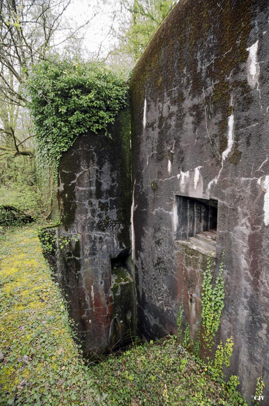 Ligne Maginot - BILLIG - A18 - (Ouvrage d'artillerie) - Bloc 4
La défense du fossé - Lia VERMEULEN