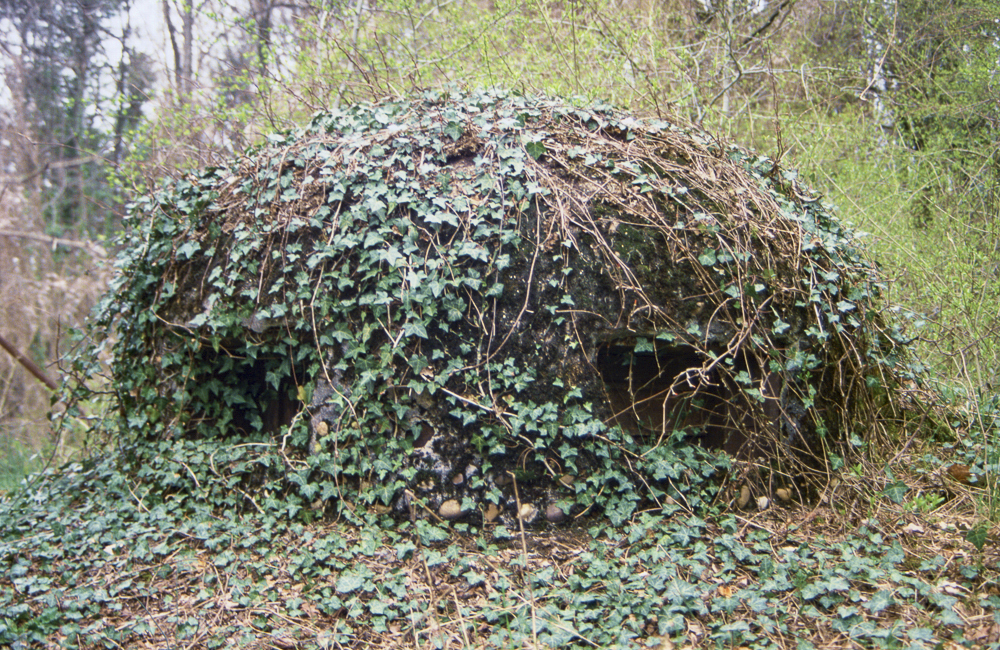 Ligne Maginot - MONT DES WELCHES - A21 - (Ouvrage d'artillerie) - Entrée des hommes
Cloche GFM Avec son camouflage en béton et ... naturel  - Michel Teiten