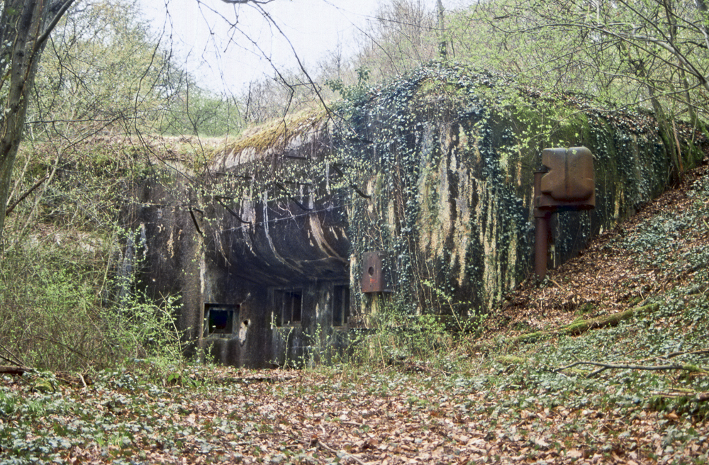Ligne Maginot - MONT DES WELCHES - A21 - (Ouvrage d'artillerie) - Bloc 4
Façade de la casemate avec les deux créneaux JM - Michel Teiten