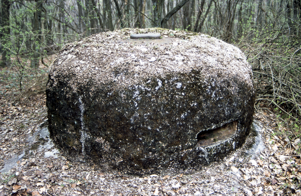 Ligne Maginot - MONT DES WELCHES - A21 - (Ouvrage d'artillerie) - Bloc 5
Cloche VDP recouverte d'un camouflage en béton - Michel Teiten