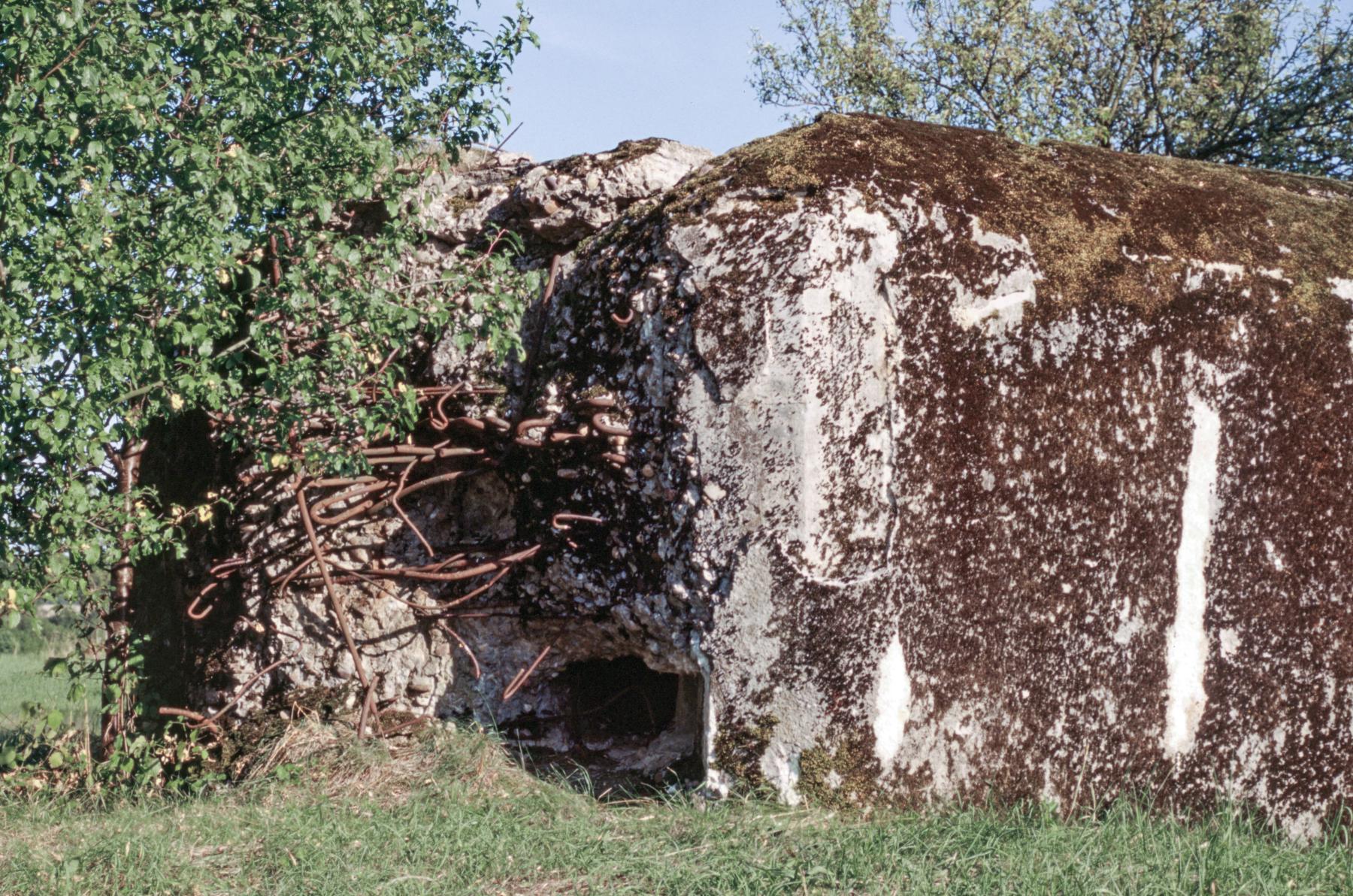 Ligne Maginot - R8B - CALVAIRE 1 - (Blockhaus pour arme infanterie) -  - MANSUY Michel