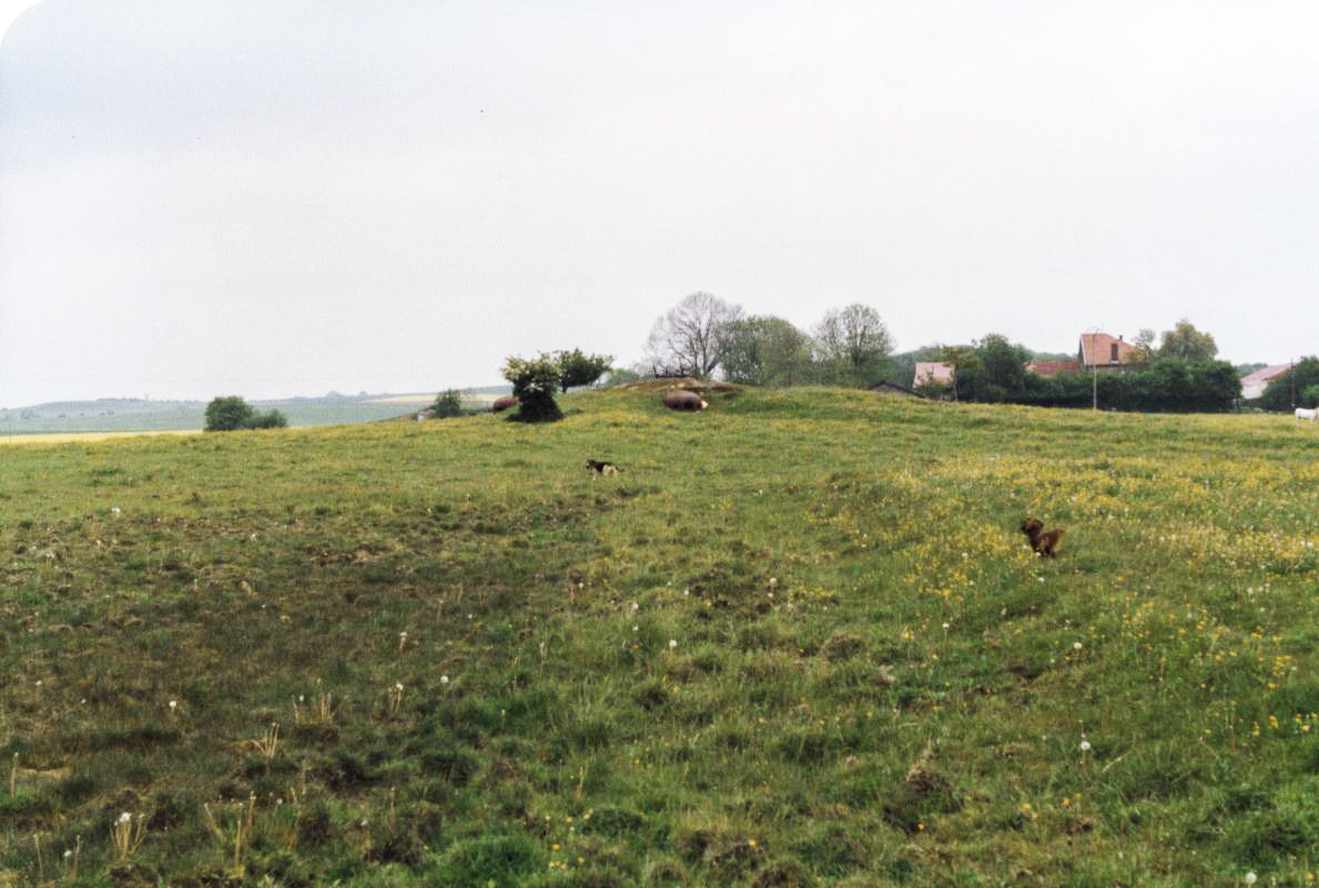 Ligne Maginot - FERME CHAPPY - A1 - (Ouvrage d'infanterie) - Bloc 2 - Sebach