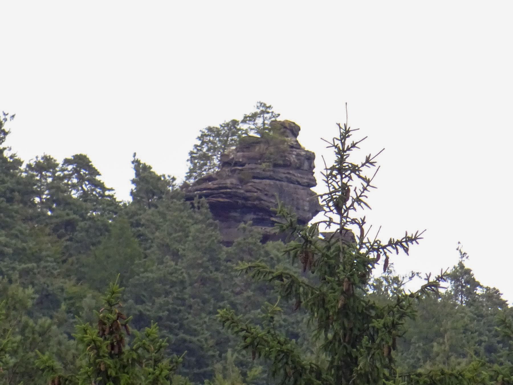 Ligne Maginot - FALKENBERG - (Observatoire d'artillerie) - Le haut de l'observatoire vue depuis le blockhaus de Weihersthal Nord - Léo Zahn