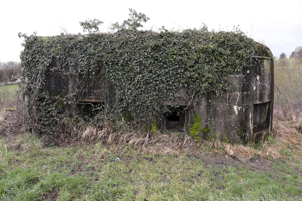 Ligne Maginot - SARRALBE BARRAGE NORD - (Blockhaus pour arme infanterie) -  - Alain Perouffe