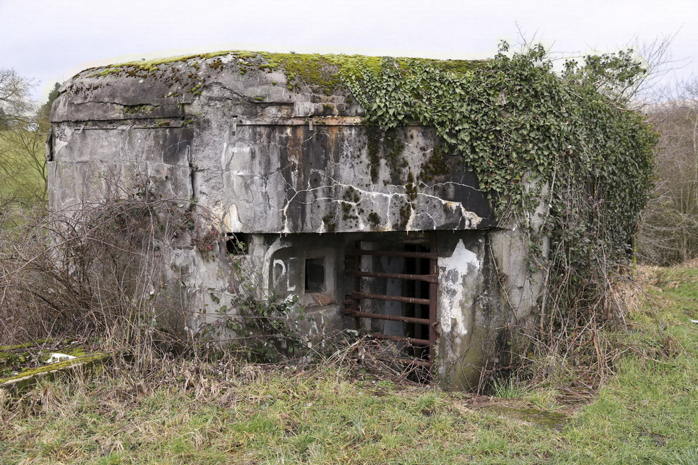 Ligne Maginot - SARRALBE BARRAGE NORD - (Blockhaus pour arme infanterie) -  - Alain Perouffe
