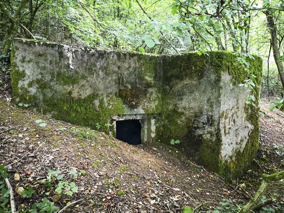 Ligne Maginot - CB604 - BELLEVUE - (Blockhaus pour arme infanterie) -   - Thierry Caland