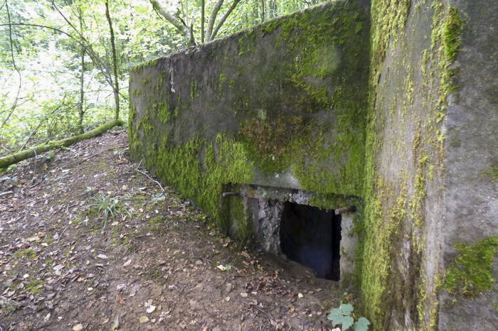 Ligne Maginot - CB604 - BELLEVUE - (Blockhaus pour arme infanterie) -  - Sylvie Laure LAMBERT