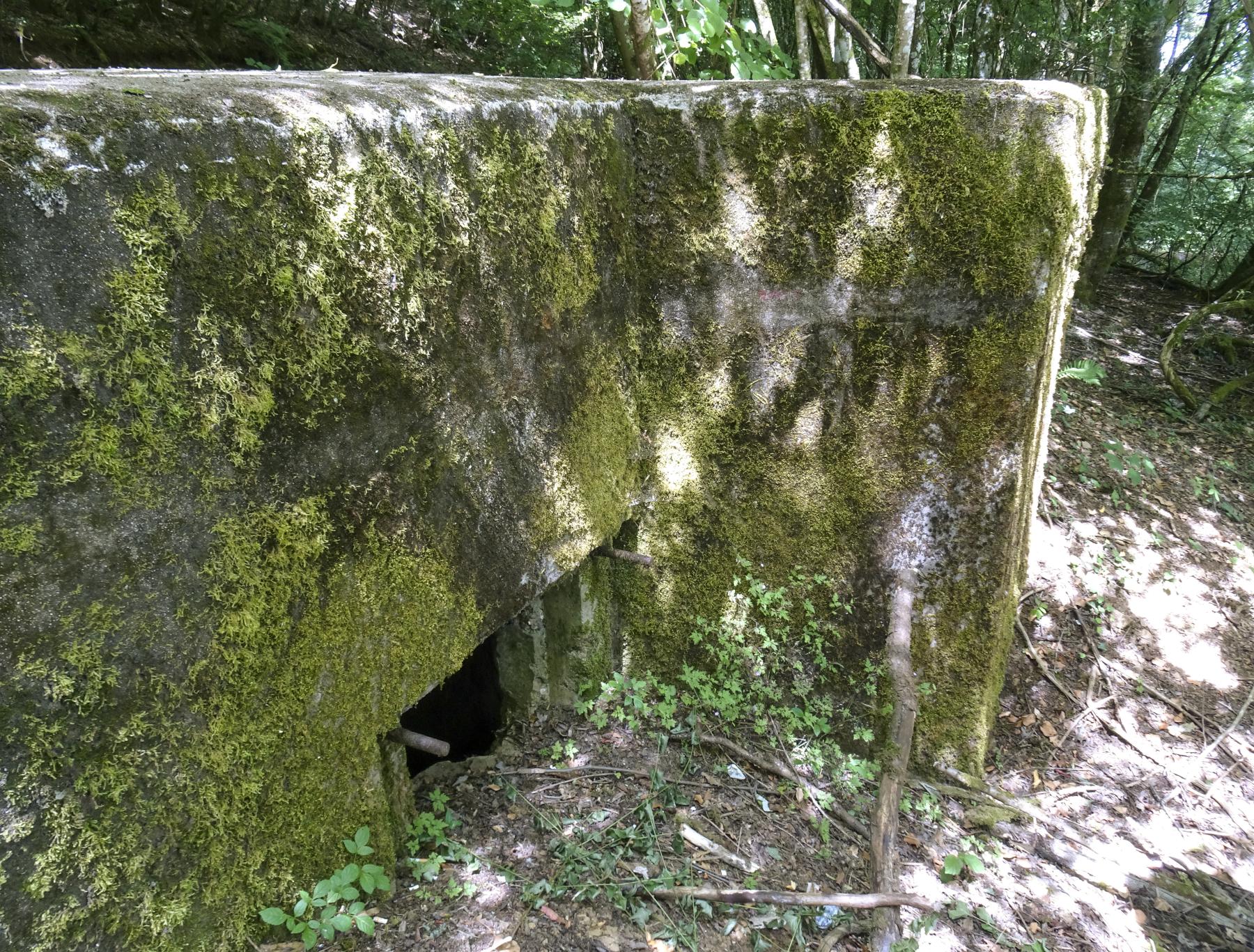 Ligne Maginot - CB604 - BELLEVUE - (Blockhaus pour arme infanterie) -  - Marc Fossoul