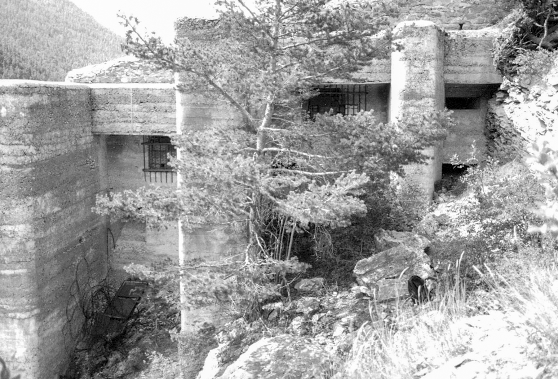 Ligne Maginot - TOURNOUX - BATTERIE XII - (Position d'artillerie préparée) - De gauche à droite les embrasures de 95 et le créneau de l'observatoire. - Remi Fontbonne