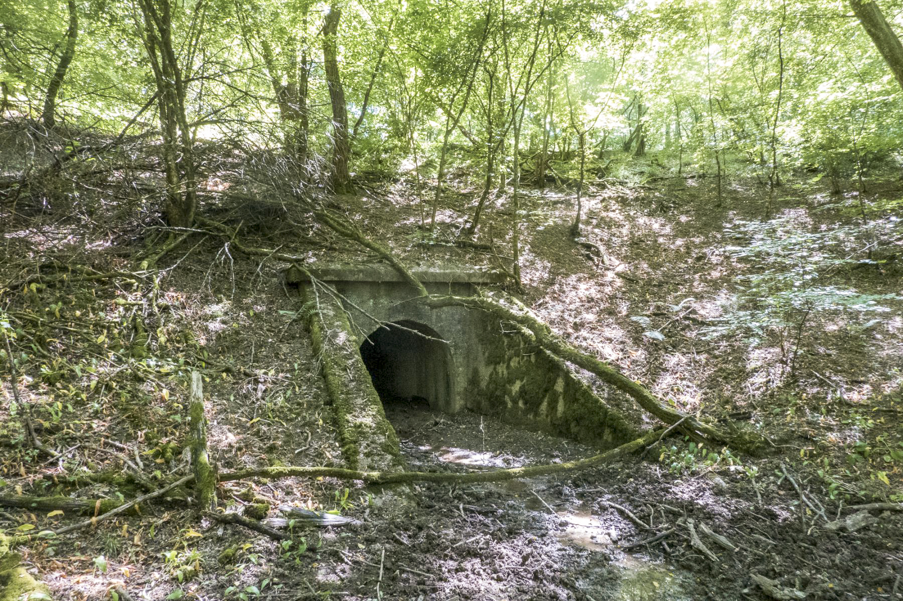 Ligne Maginot - VF60 - ANTENNE DE L'OUVRAGE DU KOBENBUSCH - (RESEAU - Voie 60 - Antenne ou rocade ferroviaire) - Pont de la Croix Hépich - Michel Teiten