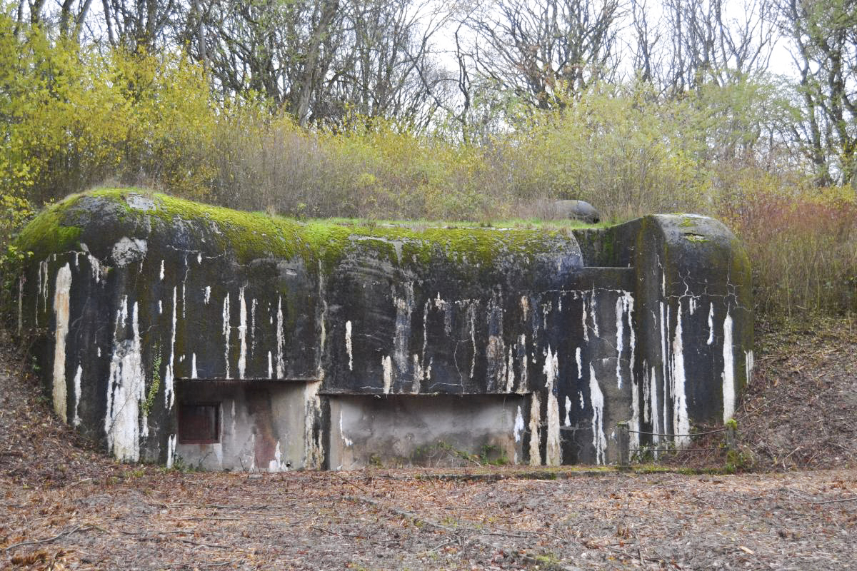 Ligne Maginot - KOBENBUSCH  - A13 - (Ouvrage d'artillerie) - Entrée des hommes
Après débroussaillage en 2019.
L'entrée et les meurtrières ont été murées par sécurité, le pied du bloc étant inondé et inaccessible - Jules Mathieu