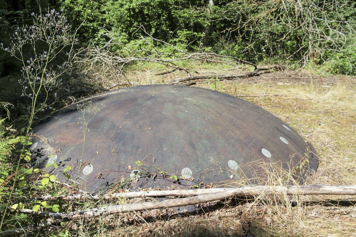 Ligne Maginot - KOBENBUSCH  - A13 - (Ouvrage d'artillerie) - Bloc 5
La tourelle partiellement noyée dans la végétation - JOLAS, Jean-Michel