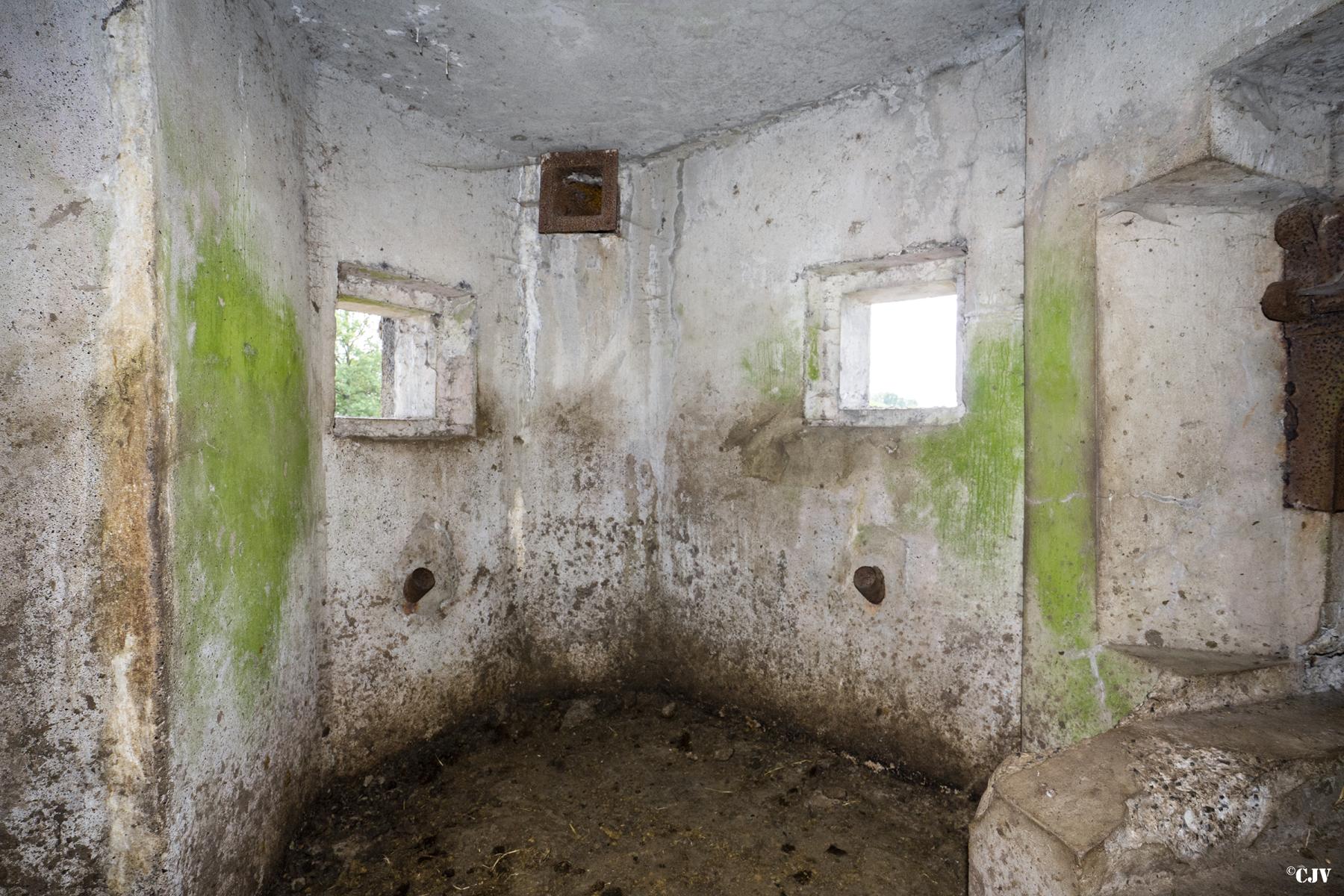 Ligne Maginot - GROUPE DES REUMEZ - (Blockhaus pour canon) -  - Lia VERMEULEN