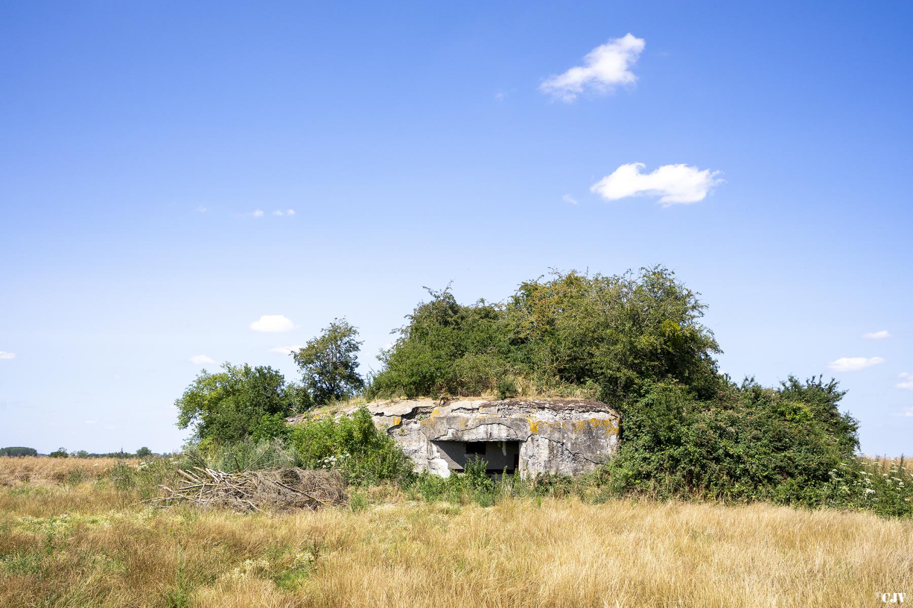 Ligne Maginot - MOULIN DU BOIS - (Blockhaus pour canon) -  - Lia VERMEULEN
