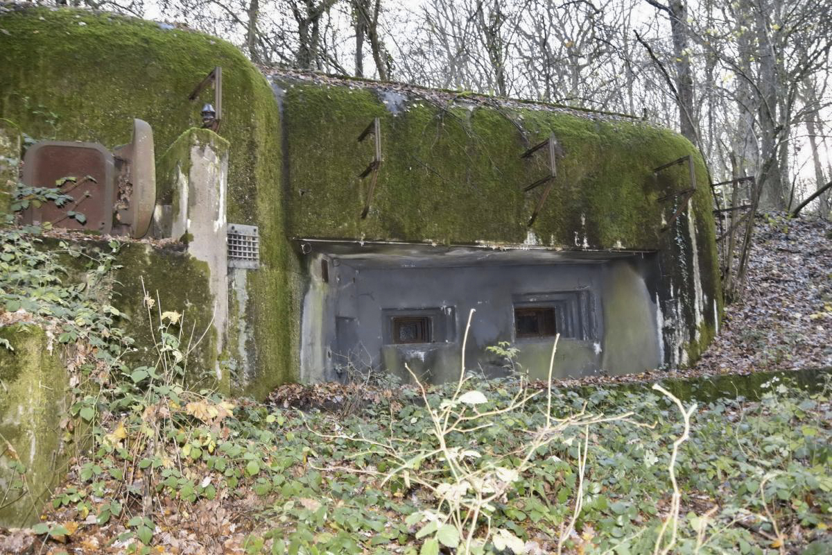 Ligne Maginot - GALGENBERG - A15 - (Ouvrage d'artillerie) - Bloc 1
Vue d'ensemble extérieur du bloc - D.Froehly