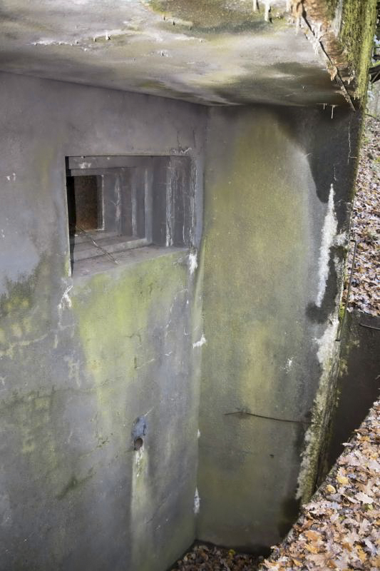 Ligne Maginot - GALGENBERG - A15 - (Ouvrage d'artillerie) - Bloc 1
Fossé diamant - D.Froehly