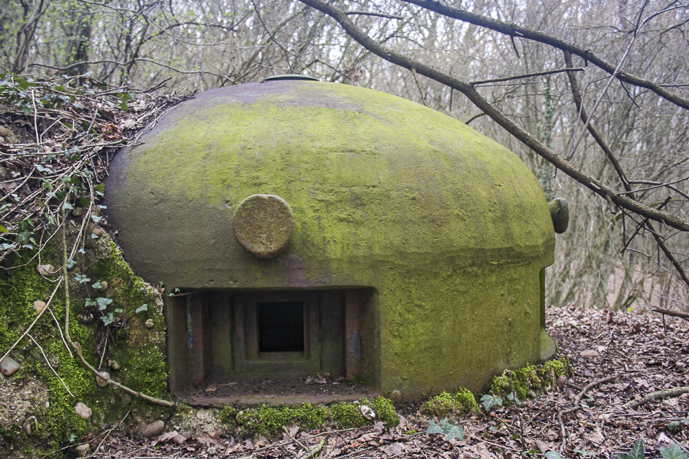 Ligne Maginot - GALGENBERG - A15 - (Ouvrage d'artillerie) - Bloc 1
Cloche GFM - Michel Teiten