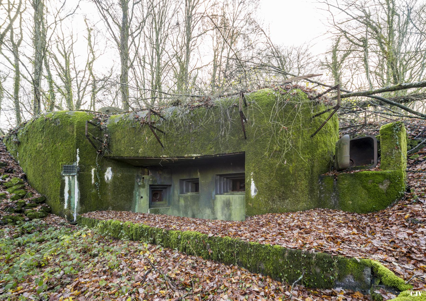 Ligne Maginot - GALGENBERG - A15 - (Ouvrage d'artillerie) - Bloc 2
Casemate d'infanterie flanquant en direction de la casemate du Sonnenberg - Lia VERMEULEN