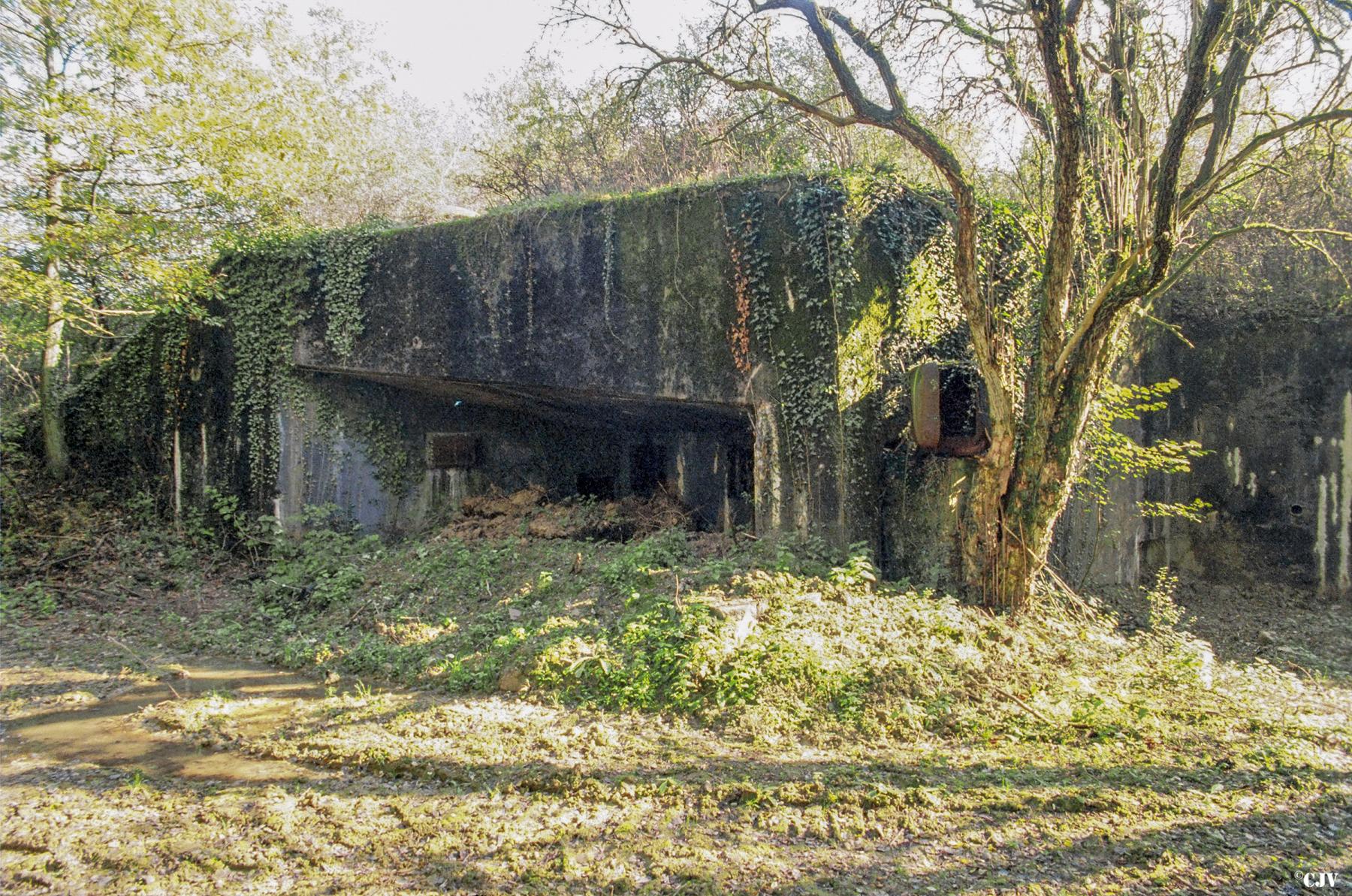 Ligne Maginot - OBERHEIDE - A14 - (Ouvrage d'infanterie) - Casemate Nord - Lia VERMEULEN