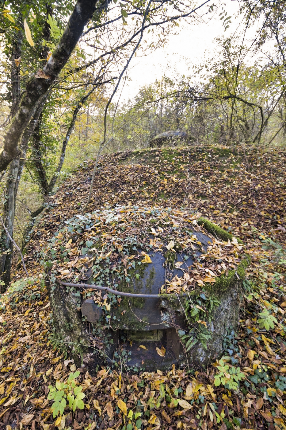 Ligne Maginot - OBERHEIDE - A14 - (Ouvrage d'infanterie) - Cloche GFM - Ludovic KNAPP
