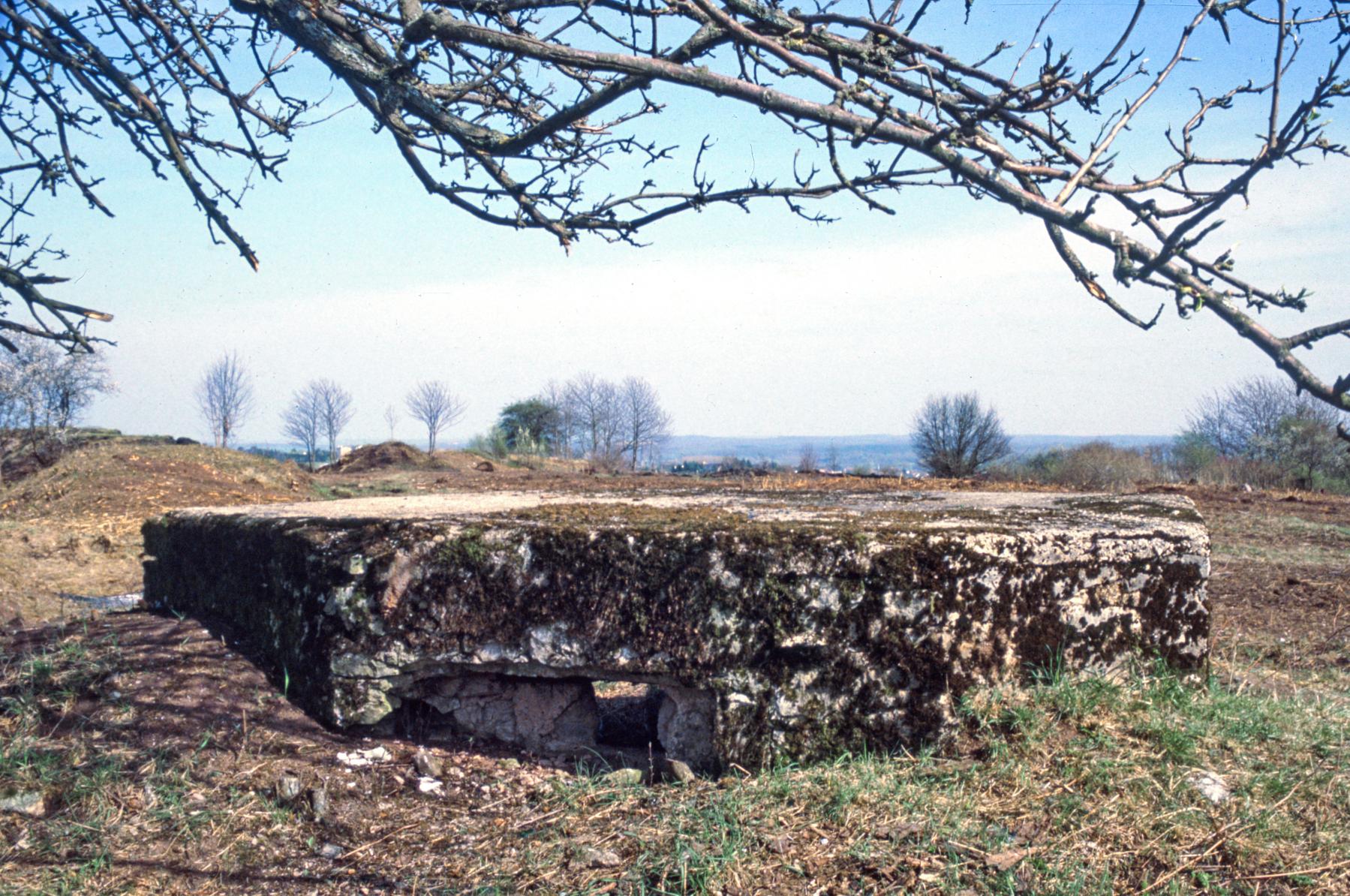 Ligne Maginot - KNOPP 1 - (Blockhaus pour arme infanterie) -  - MANSUY Michel