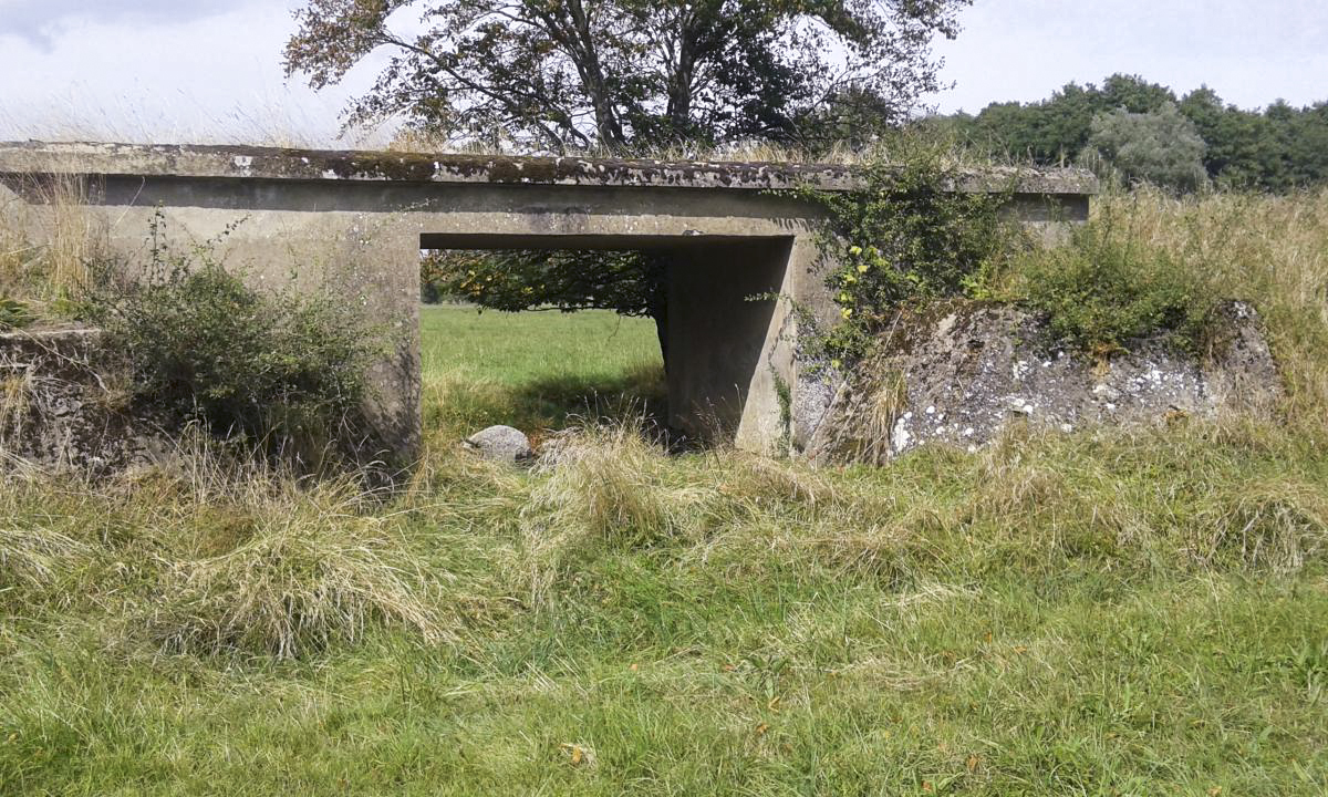 Ligne Maginot - VF60 - Antenne Métrich - Pont de la Canner n°1
Etabli sur une décaissement du terrain  servant probalement  de passage pour les vaches ou autre d'un champ à l'autre - Titi57