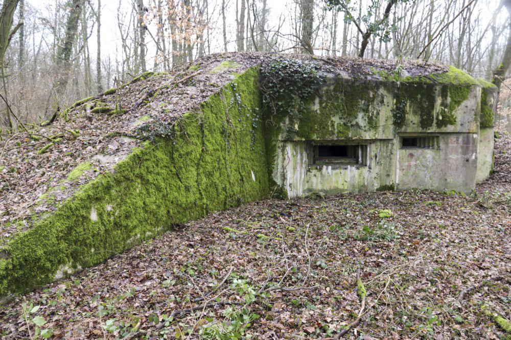 Ligne Maginot - AB30 - COUME - (Blockhaus pour canon) -  - Alain Perouffe
