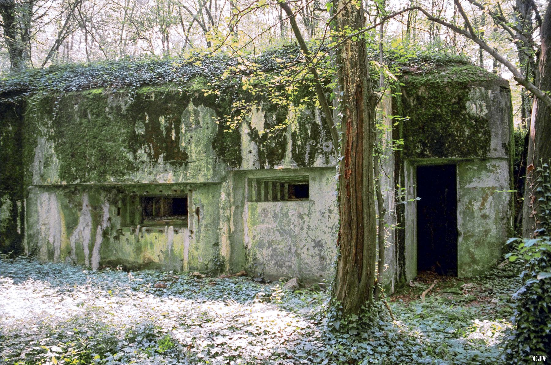 Ligne Maginot - Blockhaus de COUME -  - Lia VERMEULEN