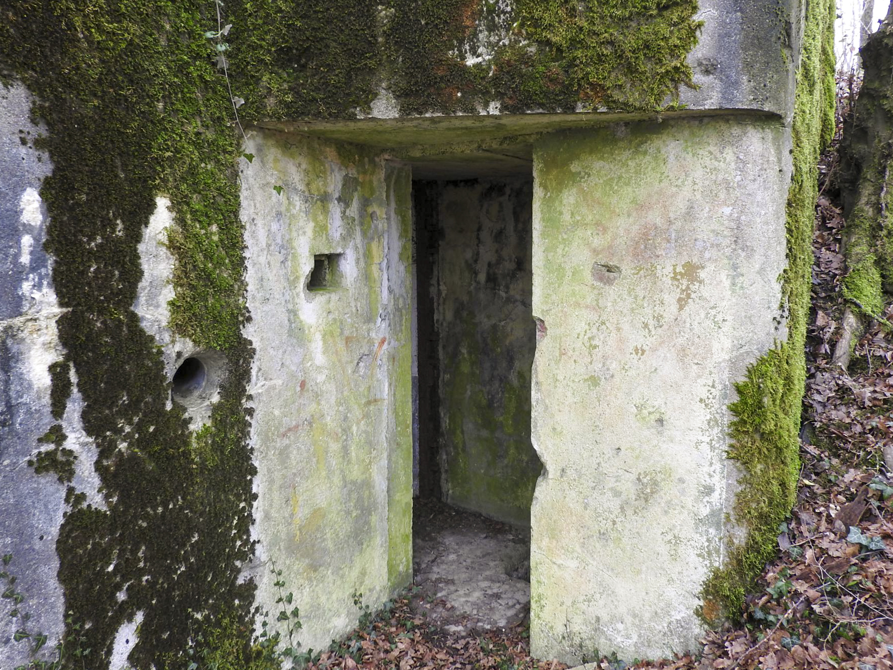 Ligne Maginot - AB30 - COUME - (Blockhaus pour canon) - L'entrée du blockhaus. - STENGER Mathieu