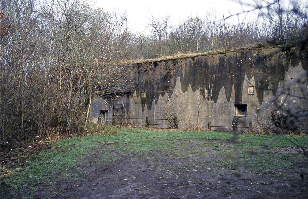 Ligne Maginot - BOIS KARRE - X12 - (Abri) - L'abri en 1985 - Michel Teiten