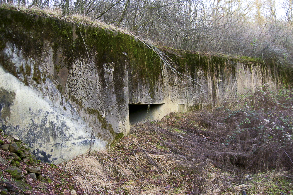 Ligne Maginot - BOIS KARRE - X12 (Abri) - Façade, merlonnée, de l'abri - Michel Teiten