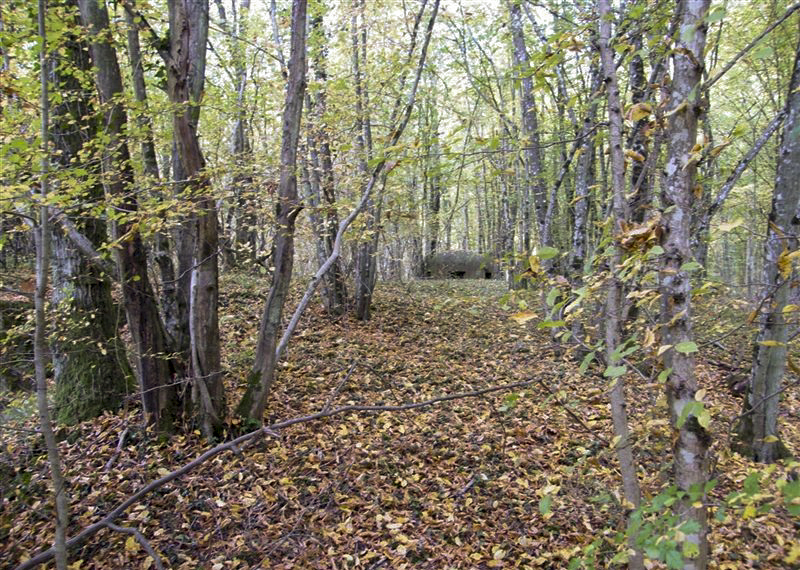 Ligne Maginot - BOIS KARRE - X12 (Abri) -  - Jean-Louis AUBLET & Sylvie MAINGUIN